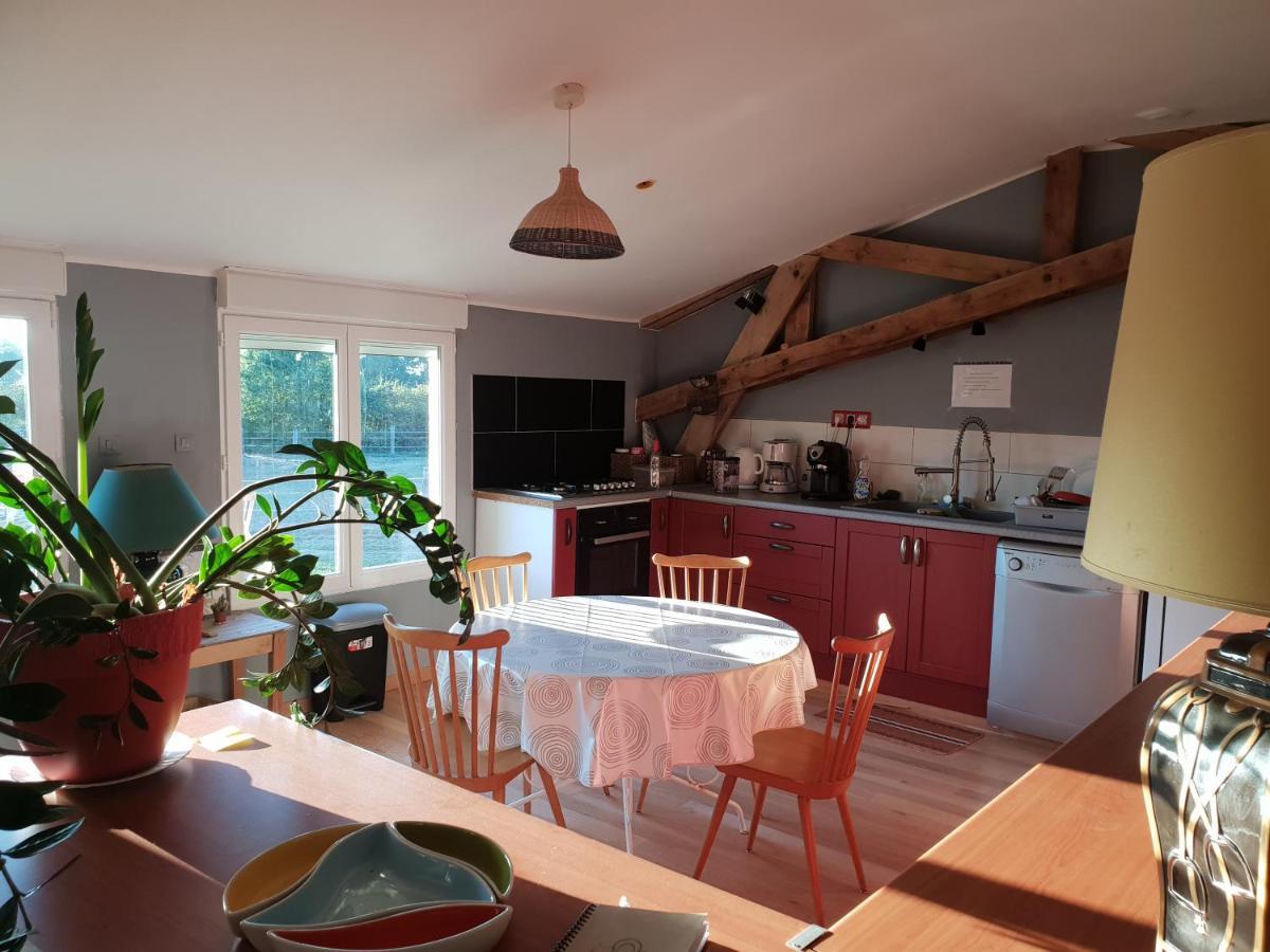 Chambre D'Hote De L'Elevage Du Lattay Les Hauts-d'Anjou エクステリア 写真
